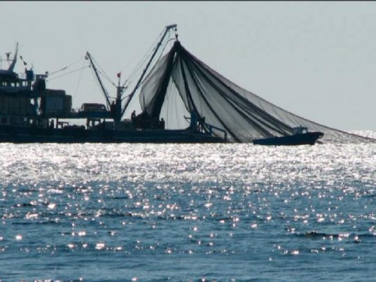 Medidas contra la pesca ilegal en Panamá por parte de la Unión Europea